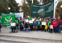 MIEMBROS DEL CDP ATE SALTA, Y EL CENTRO DE JUBILADOS Y PENSIONADOS DE MARCHARON CONTRA LA VIOLENCIA, Y EL VETO DE MILEI.